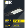 Светильник LED консольный IEK ДКУ 1013-200Д 5000К IP65 LDKU1-1013-200-5000-K03